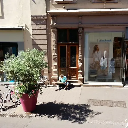 Felicita Vintage - Center Apartment Colmar